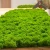 AnyConv.com__Photoroom_20250423_210459 (1)-min.webp