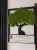 AnyConv.com__IMG_9397-min.webp