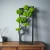 AnyConv.com__Photoroom_20251123_171448 (1).webp