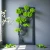 AnyConv.com__Photoroom_20251123_171004 (1).webp