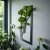 AnyConv.com__Photoroom_20251123_171535 (1).webp