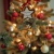 AnyConv.com__Photoroom_20251126_141353-min.webp